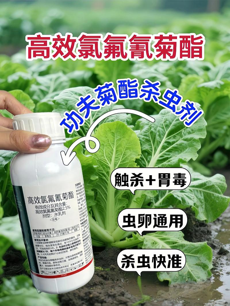 白城代生中心:农药对供卵代生妈妈的危害